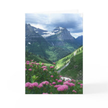 Glaciärnationalpark