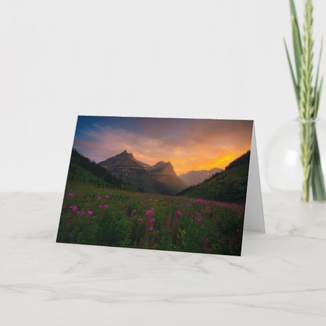 Glaciärvildblommar Kort (Framsida)