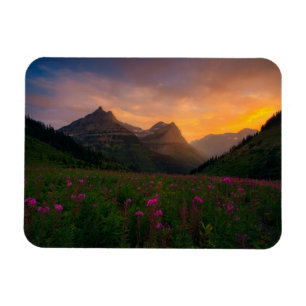 Glaciärvildblommar Magnet
