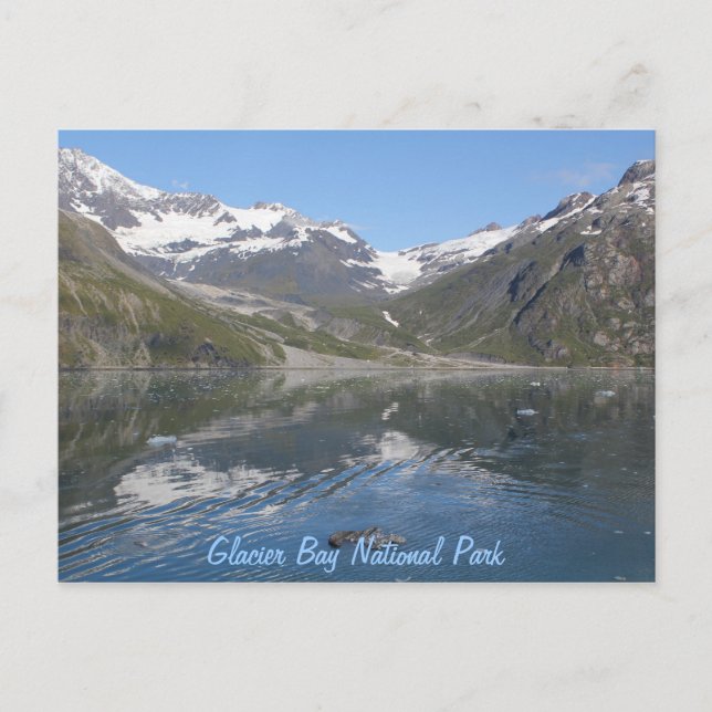 Glacier Bay National Park, Alaska Postcard Vykort (Framsida)