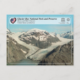 Glacier Bay National Park - Morse och Muir Glacier Vykort