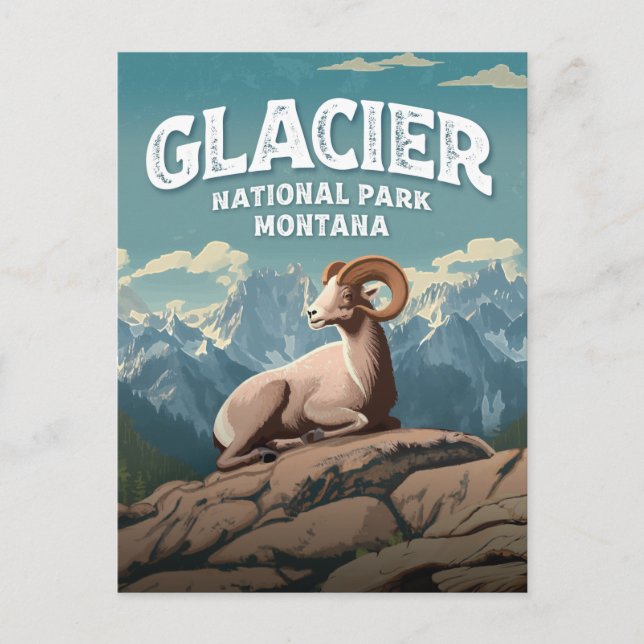 Glacier National Park Bighorn Sheep Vykort (Framsida)