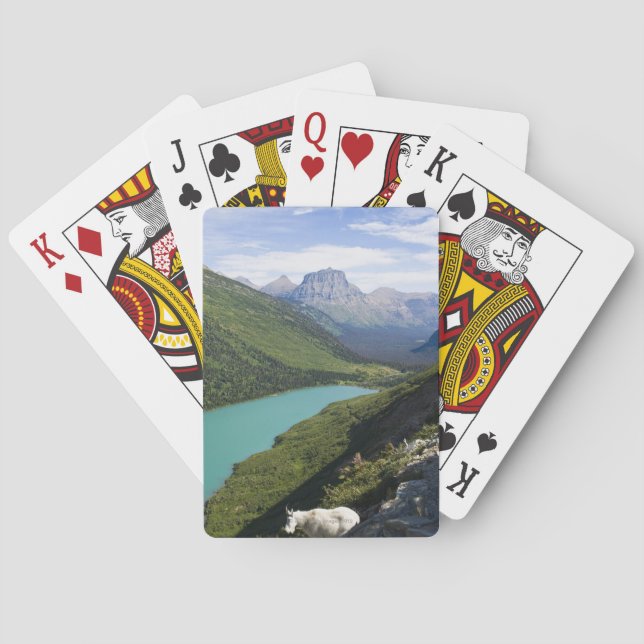 Glacier National Park Montana Spel Kort (Baksidan)