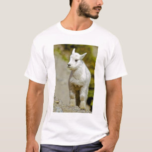 Glacier National Park, Montana, USA, Berg T-shirt