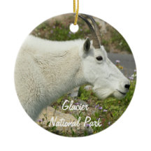 Glacier National Park Mountain Goat Photo