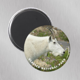 Glacier National Park Mountain Goat Photo Magnet