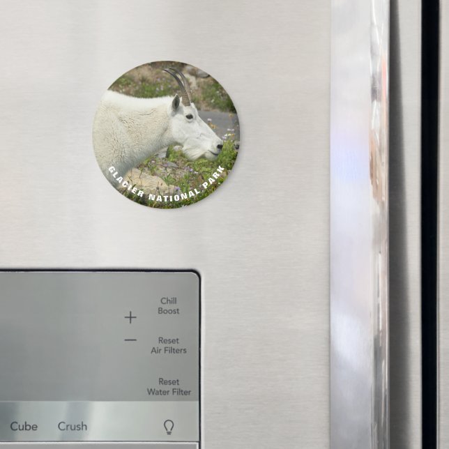 Glacier National Park Mountain Goat Photo Magnet (In Situ (Fridge))