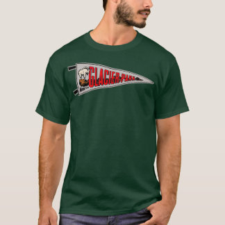 Glacier National Park Pennant 1 T Shirt