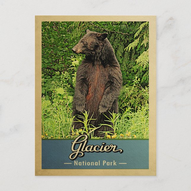 Glacier nationalpark Bear Vintage resor Vykort (Framsida)