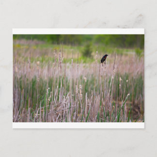 Glacier Ridge Metropark Vykort