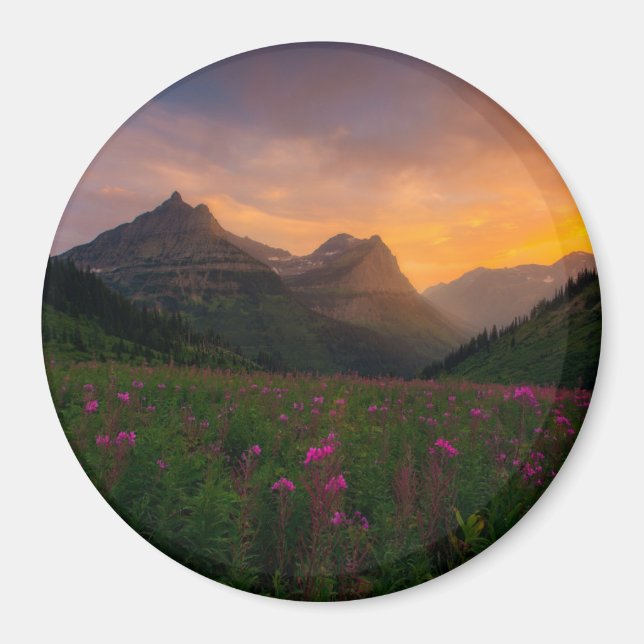 Glacier Wildblommor Magnet (Framsidan)