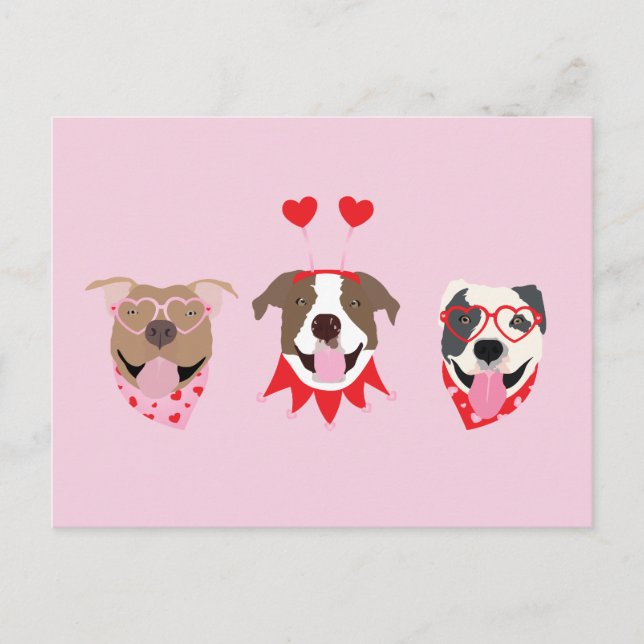 Glad Alla Hjärtans Dag Amerikanska Pitbullterrier Vykort (Framsida)