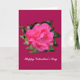 Glad Alla hjärtans dag. Bildobon i rosa ros. Helgkort
