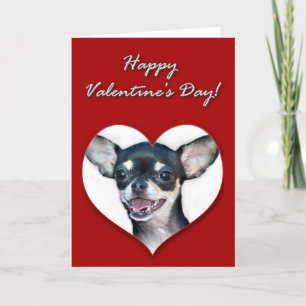 Glad Alla hjärtans dag Chihuahua Helgkort