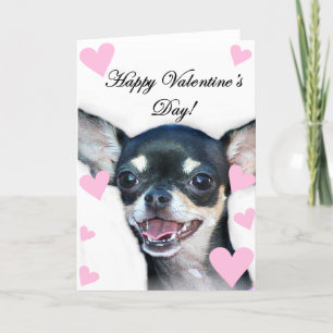 Glad Alla hjärtans dag Chihuahua Helgkort