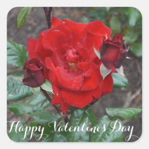 Glad Alla hjärtans dag Crimson Bouquet #1 Stickers Fyrkantigt Klistermärke