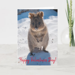 Glad Alla hjärtans dag Cute Quokka på Beach Kort