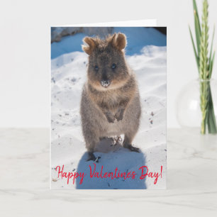 Glad Alla hjärtans dag Cute Quokka på Beach Kort