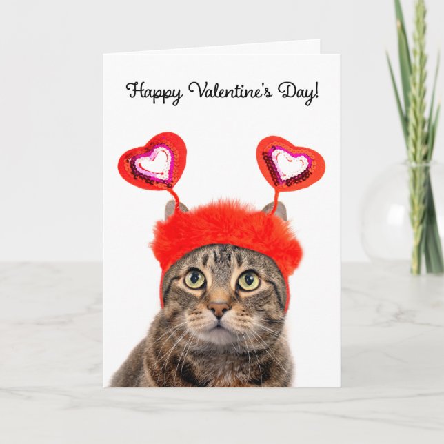 Glad Alla hjärtans dag för någon randig katt  Helgkort (Framsida)
