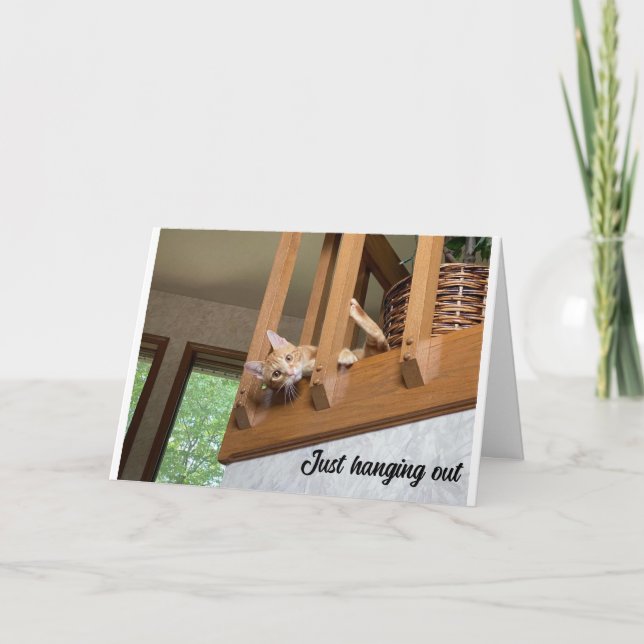 "GLAD ALLA HJÄRTANS DAG" FRÅN HÄNGANDE KATT KORT (Framsida)