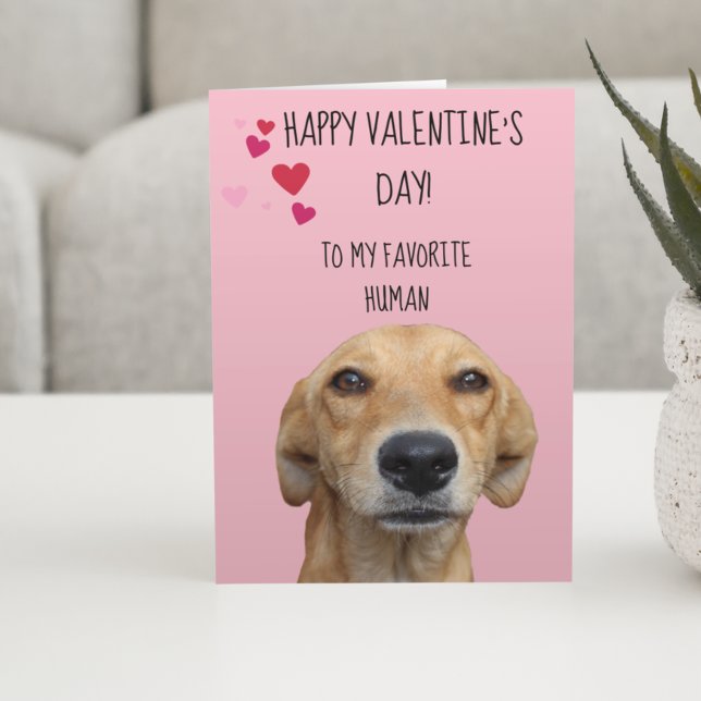 Glad Alla hjärtans dag från Hund Kort (Skapare uppladdad)