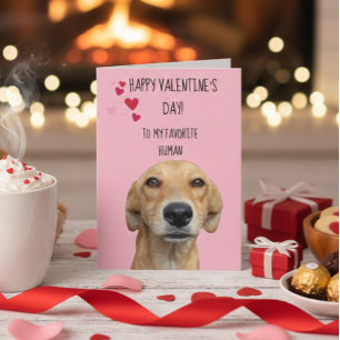 Glad Alla Hjärtans Dag Från Hunden Kort