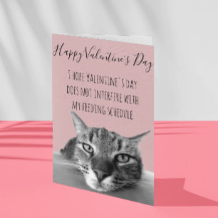 Glad Alla Hjärtans Dag från katt till människa Hum Kort