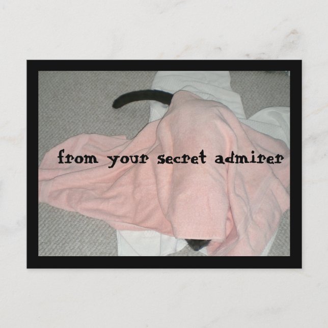 Glad Alla hjärtans dag från Pet Helg Vykort (Framsida)