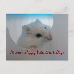 Glad Alla hjärtans dag Hamster Helg Vykort