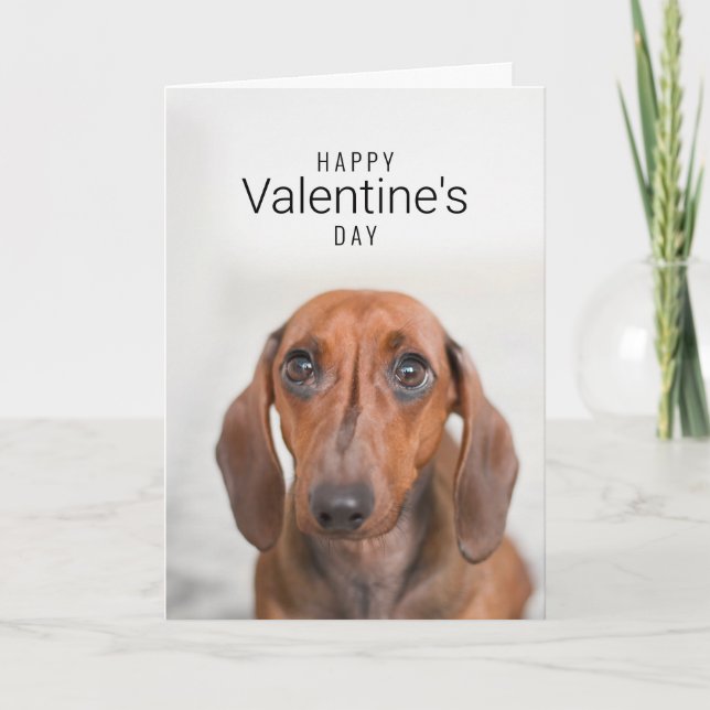 Glad Alla hjärtans dag| Hund Ansikte| Lägg till di Tack Kort (Framsida)