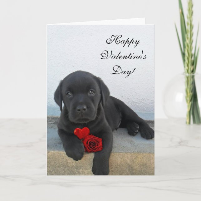Glad Alla hjärtans dag Labrador-hund Helgkort (Framsida)