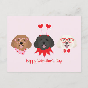 Glad Alla Hjärtans Dag Maltipoo Hundar Vykort