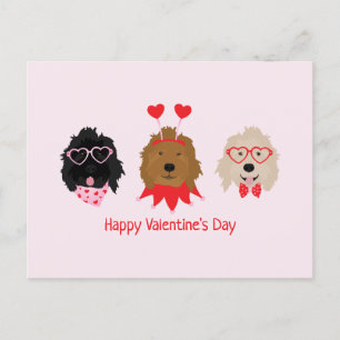 Glad Alla Hjärtans Dag Mini Goldendoodle Hundar Vykort