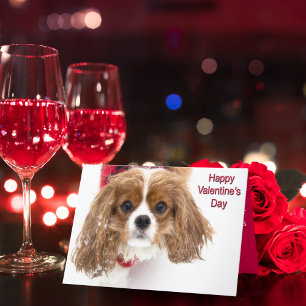 Glad Alla Hjärtans Dag Snöig Cavalier King Charles Helgkort