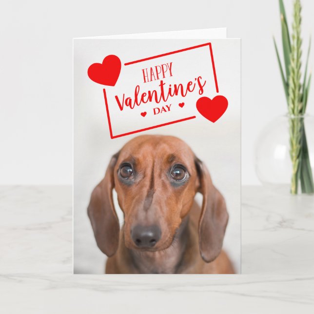 Glad Alla Hjärtans Dag | Söt Dachshund Valp Kort (Framsida)