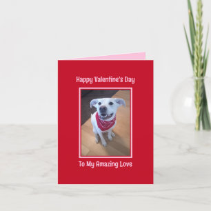 Glad Alla Hjärtans Dag Söt Hund Smilande Röd Helgkort