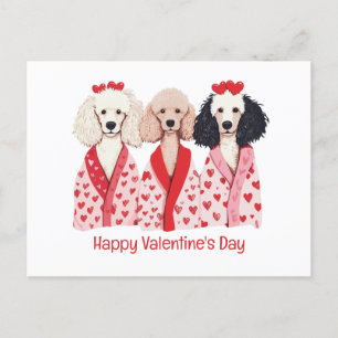 Glad Alla Hjärtans Dag Standard Poodle Hundar Helg Vykort
