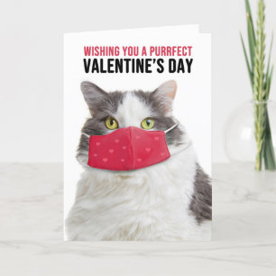 Glad Alla hjärtans dag stor katt i Ansikte-mask Helgkort