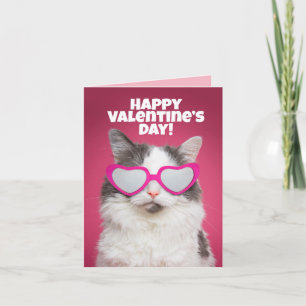 Glad Alla hjärtans dag till någon Rolig katt Humor Kort