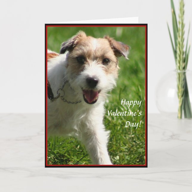 Glad Alla hjärtans Jack Russell Terrier-kort Helgkort (Framsida)