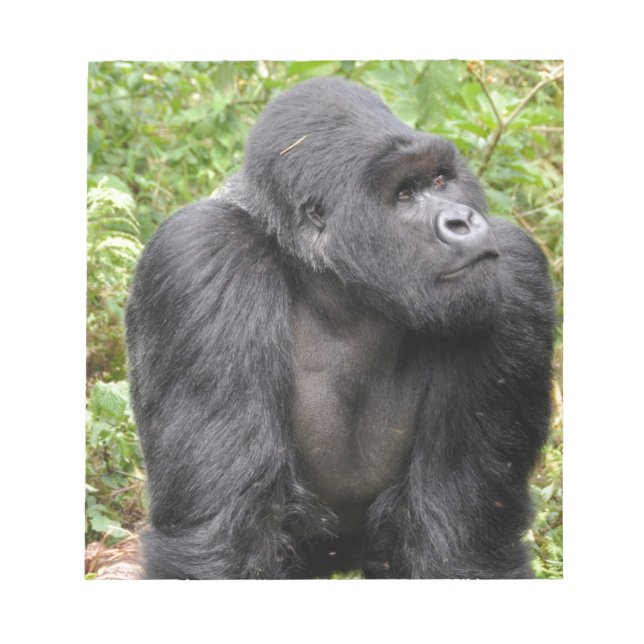 Glad apa anteckningsblock (Framsida)