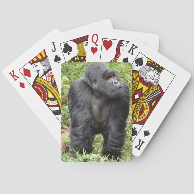 Glad apa casinokort (Baksidan)