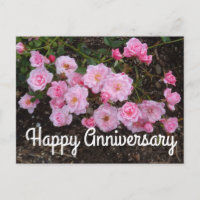 Glad årsdag Jeanne LaJoie Rose #1 vykort