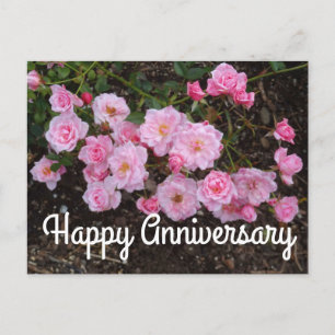 Glad årsdag Jeanne LaJoie Rose #1 vykort