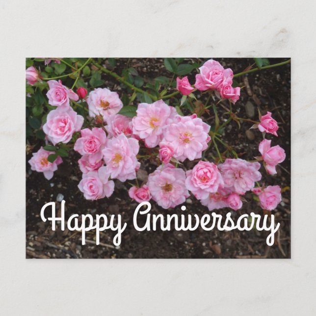 Glad årsdag Jeanne LaJoie Rose #1 vykort (Framsida)