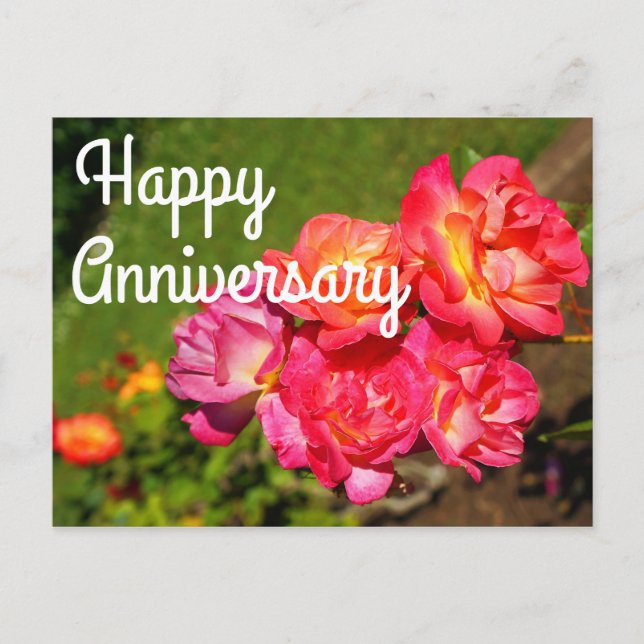 Glad årsdag Joseph's Coat Rose #1 vykort (Framsida)