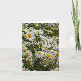Glad blomsteräng - Glad mun glädjedaisy Anteckningskort