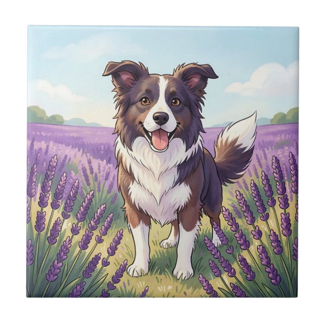 Glad Border Collie på Lavendelfält Kakelplatta (Framsidan)
