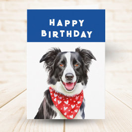 Glad Border Collie Röd Hjärtbandana Födelsedag Kort