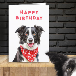 Glad Border Collie Röd Hjärtbandana Födelsedag Kort